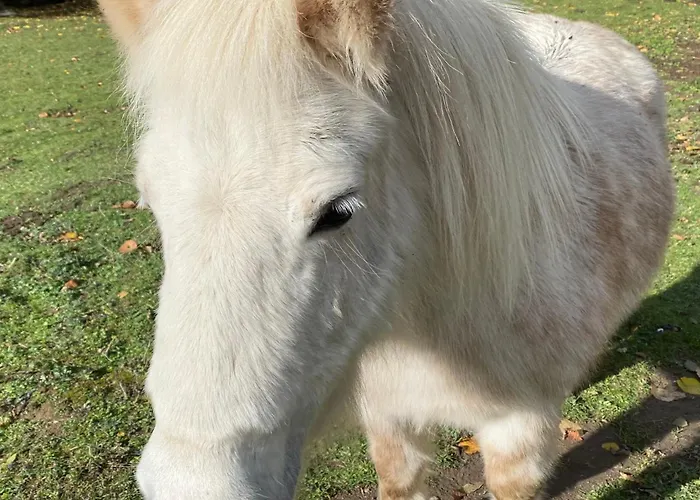 Le Fario, Bain Nordique * Frechet-Aure
